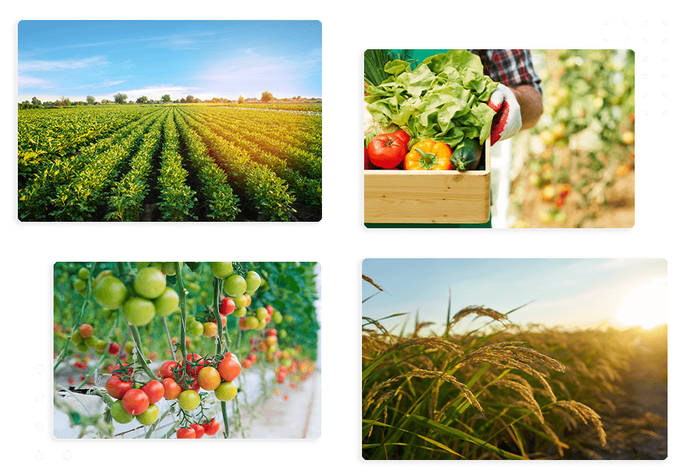 Agriculture Banner Image